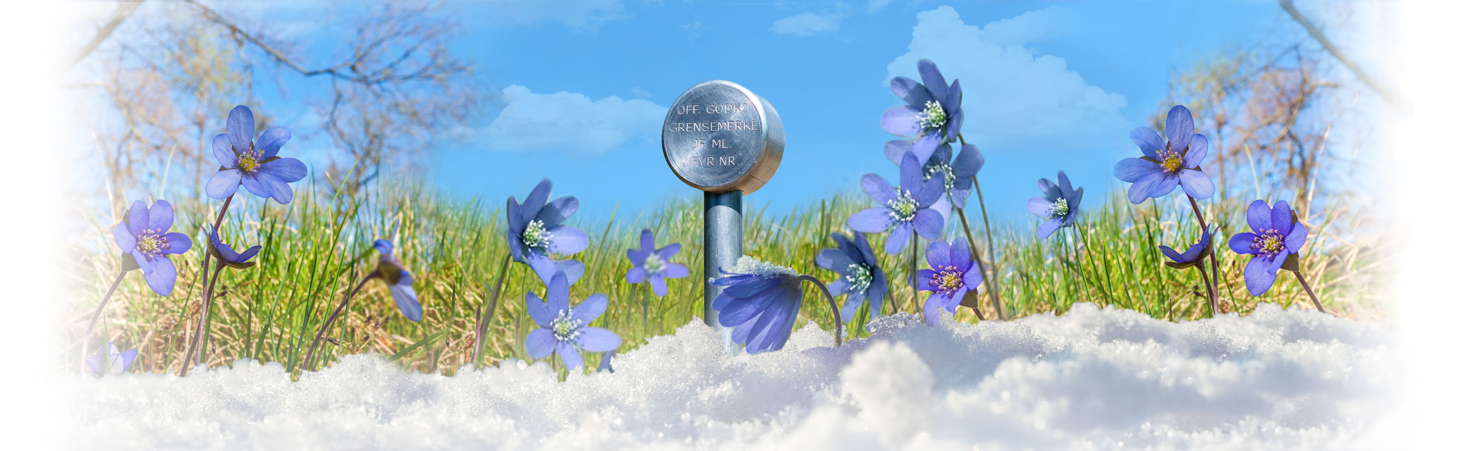 Dette er et fint bilde