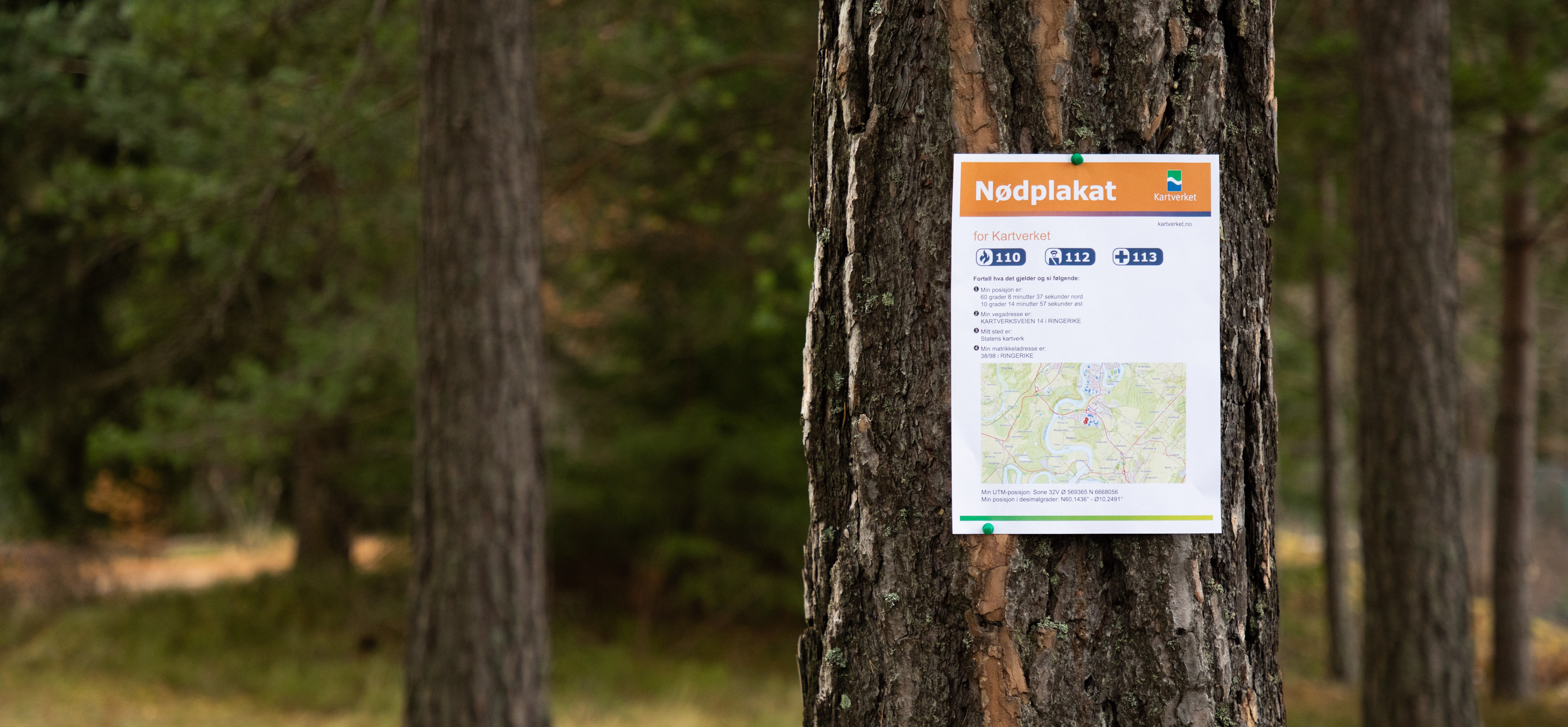 Kartverkets nødplakat henger på et tre ute i skogen